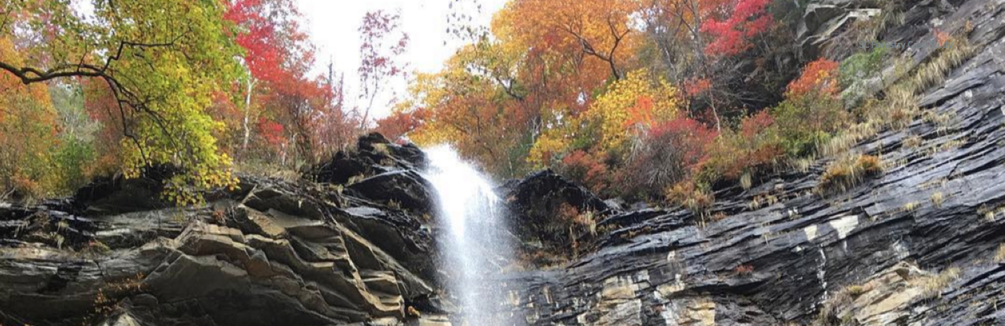 SC Forest Waterfall